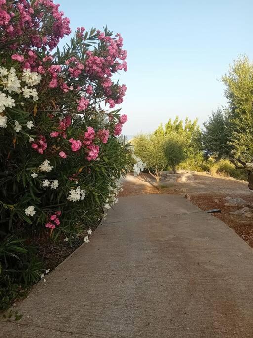 Sofia'S Summer House Koroni  Exterior foto